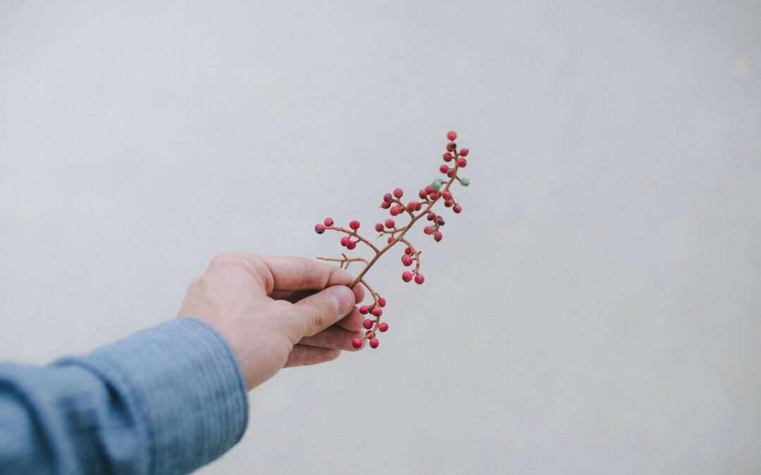 person holding bunch of small red fruits