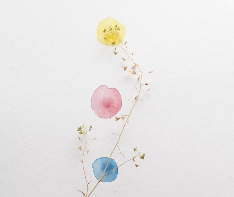 刺繍のある暮らし。