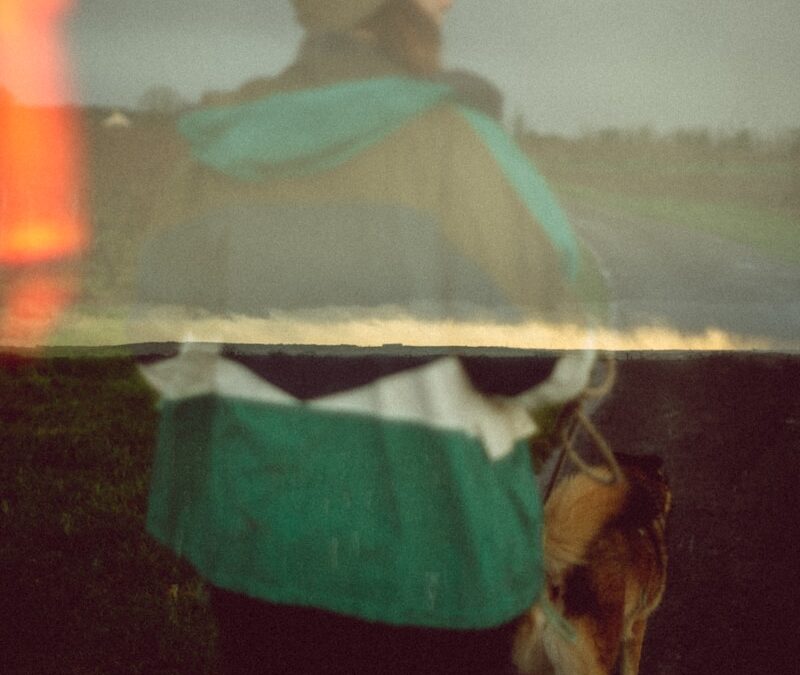 Person walks dog on a foggy, overcast day.
