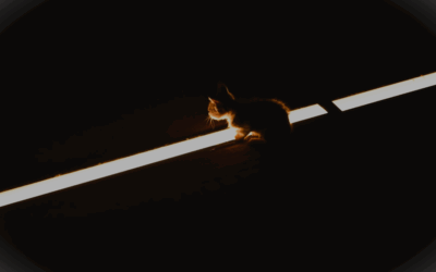あおのこと。④