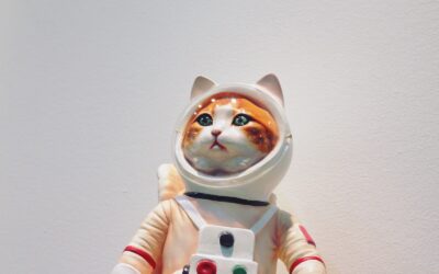 ともちゃん登場。