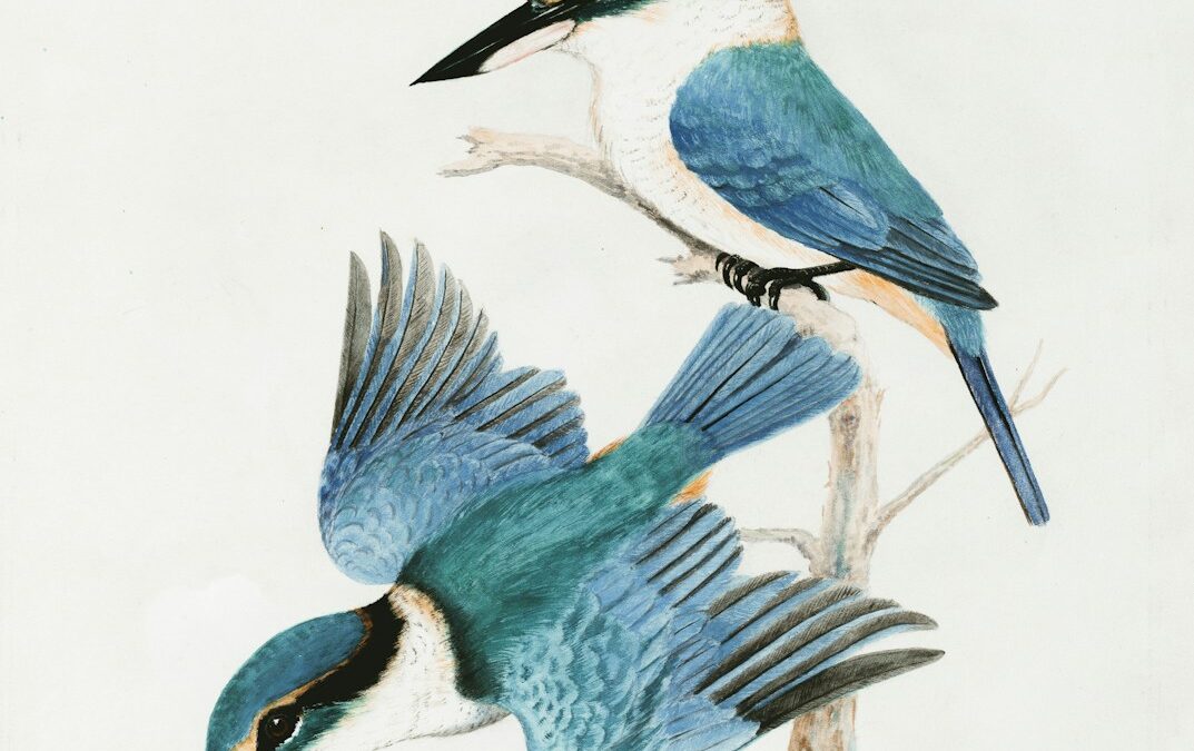 淡く、凛として。