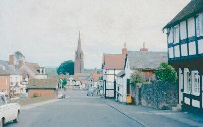 軽やかに、秋色。