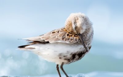 GIVE TRY 重ねぎ。