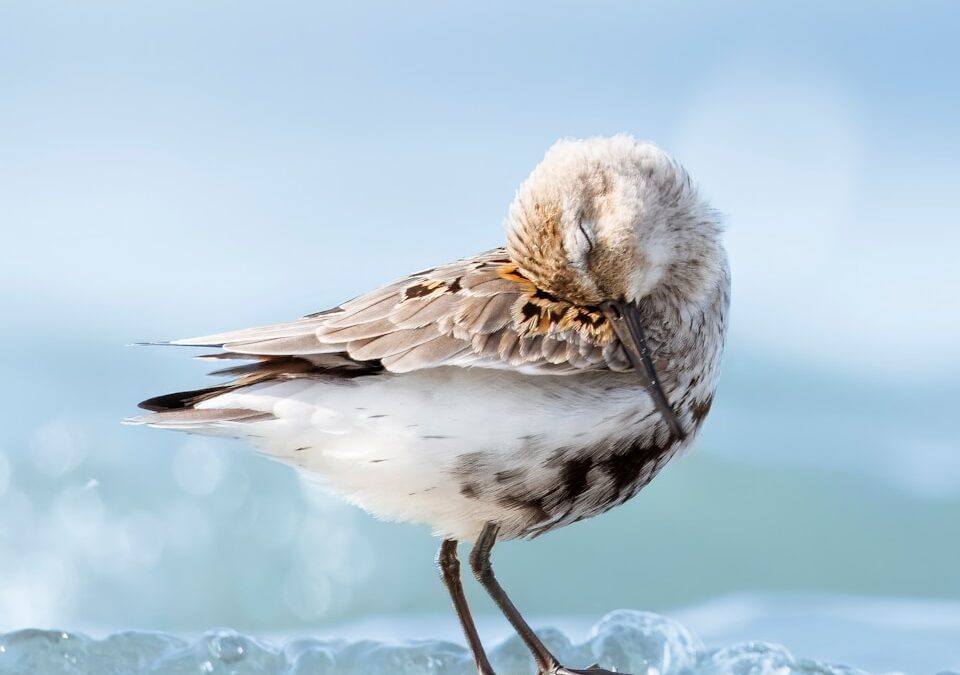 GIVE TRY 重ねぎ。